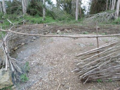 Unplugging to Reconnect, A Journey Toward Full-Time Homesteading: Location, Design, Infrastructure Image